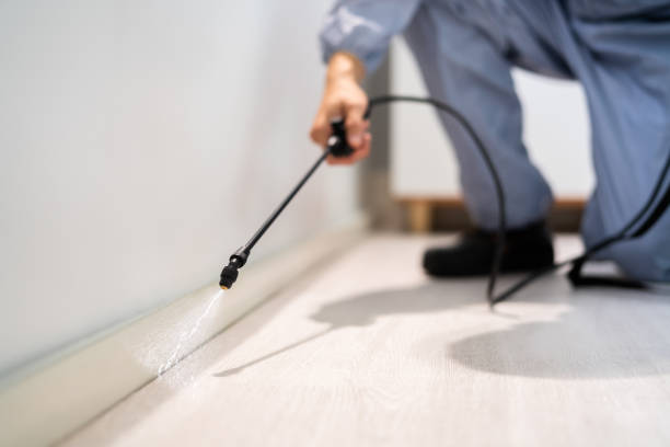 Certified termite inspector examining foundation in Lindenhurst